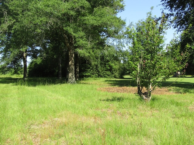 Listing photo 2 for 00 Bethlehem Rd, Lufkin TX 75904