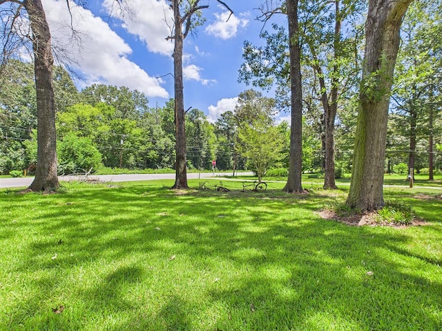 132 Preston St, Lufkin, TX 75901 - photo 39