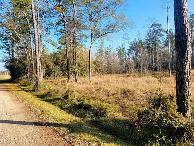 PID98246 County Road 892, Evadale, TX 77615 - photo 7