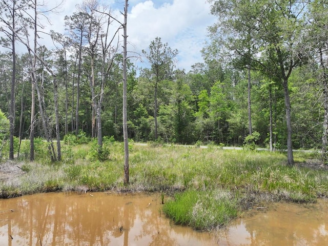 PID98246 County Road 892, Evadale, TX 77615 - photo 8