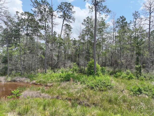 PID98246 County Road 892, Evadale, TX 77615 - photo 9