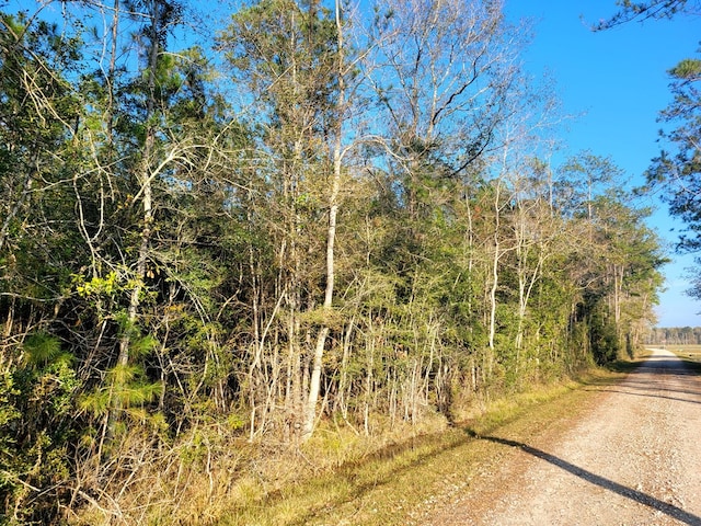 PID98246 County Road 892, Evadale, TX 77615 - photo 3