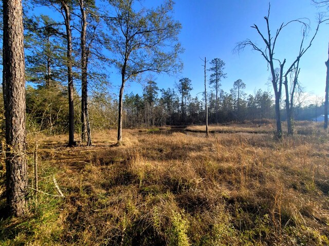 PID98246 County Road 892, Evadale, TX 77615 - photo 13
