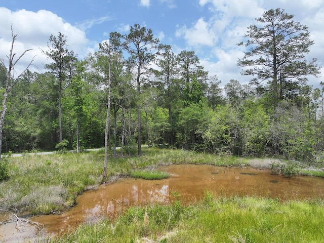 PID98246 County Road 892, Evadale, TX 77615 - photo 5