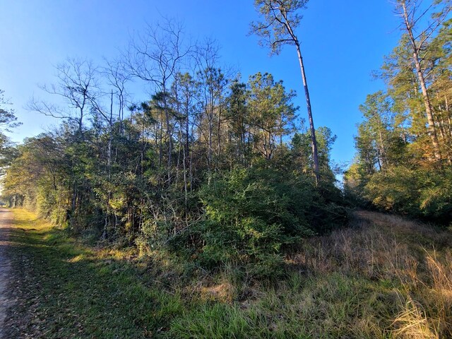 PID98246 County Road 892, Evadale, TX 77615 - photo 17