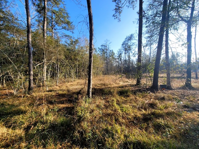 PID98246 County Road 892, Evadale, TX 77615 - photo 14