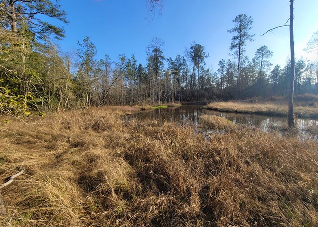 PID98246 County Road 892, Evadale, TX 77615 - photo 15