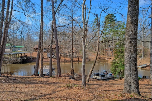 210 Cedar Rdg, Hemphill, TX 75948 - water view