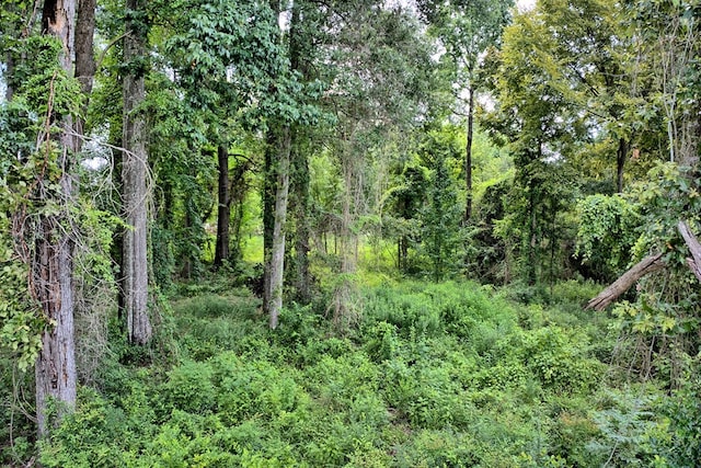 6257 Sh 21 E, Hemphill, TX 75948 - photo 13