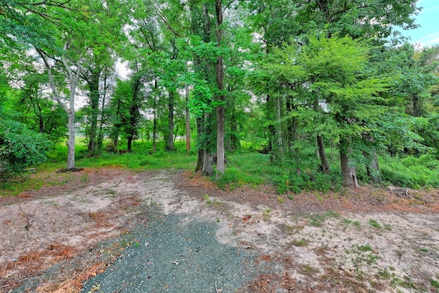 6257 Sh 21 E, Hemphill, TX 75948 - photo 15