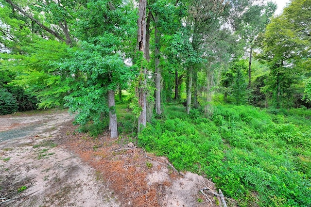 6257 Sh 21 E, Hemphill, TX 75948 - photo 14