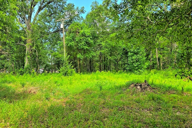 6257 Sh 21 E, Hemphill, TX 75948 - photo 11