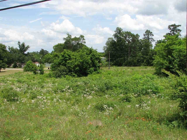 AB567THOMAS N Wheeler, Jasper TX, 75951 land for sale