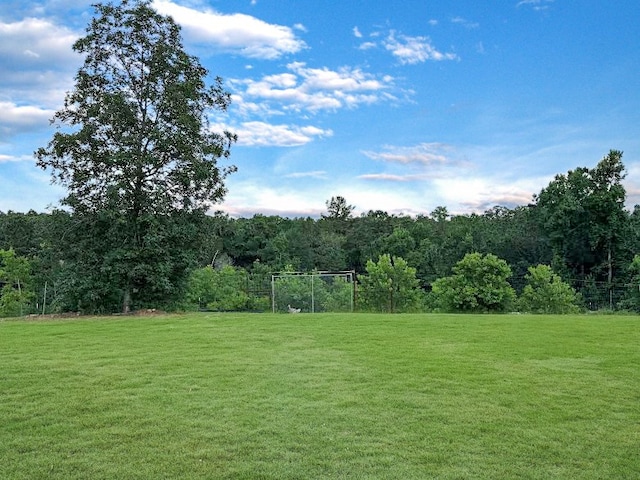 341 Red Wolf Ln, Brookeland, TX 75931 - view of green lawn with a view of trees