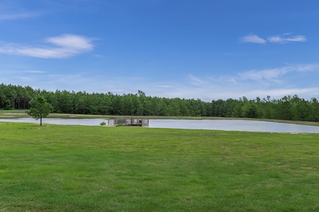 view of yard with a water view