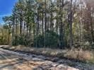6/- County Road 3400, Colmesneil, TX 75938