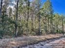 6/- County Road 3400, Colmesneil, TX 75938
