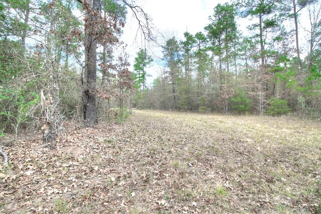 2896PARCEL5 Crk 2626, Wells, TX 75976 - photo 6