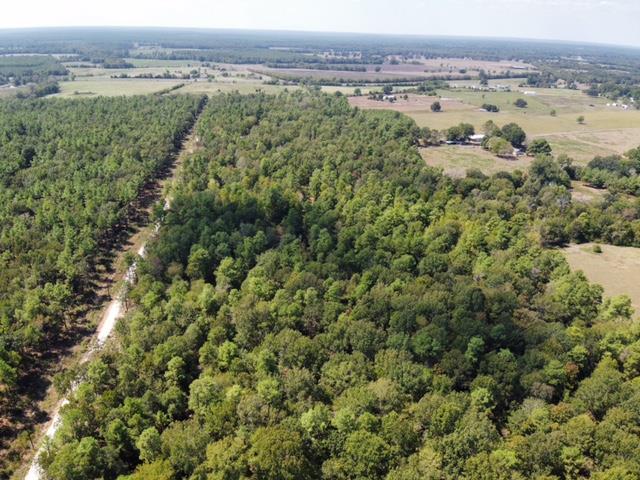 2896PARCEL5 Crk 2626, Wells, TX 75976 - photo 4