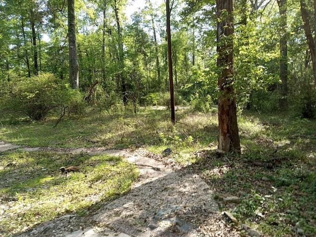 460 Admiral Dr, Hemphill, TX 75948