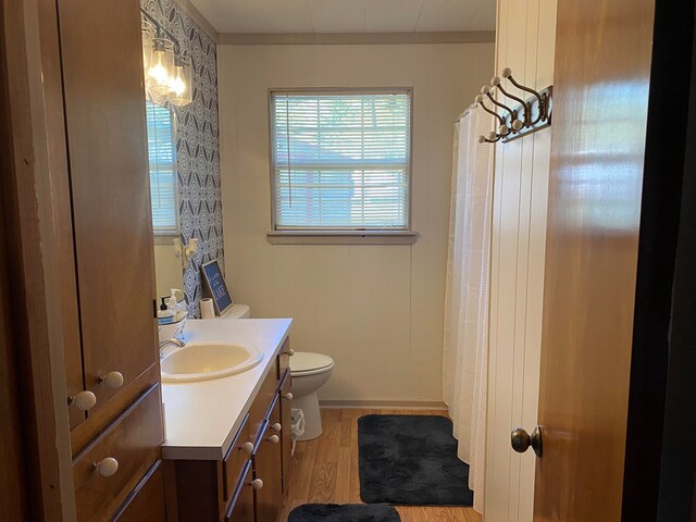 bathroom featuring hardwood / wood-style floors, vanity, and toilet