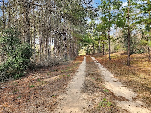 view of road