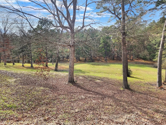 view of yard featuring a forest view