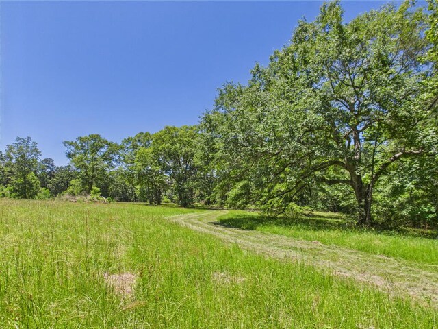 1905 Mill Creek Rd, Huntington, TX 75949 - photo 28