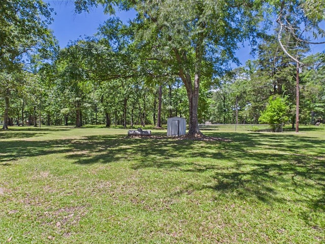 1905 Mill Creek Rd, Huntington, TX 75949 - photo 17