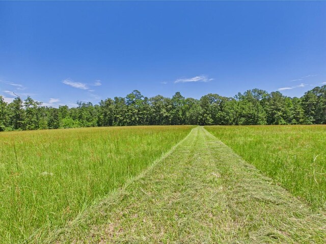 1905 Mill Creek Rd, Huntington, TX 75949 - photo 29