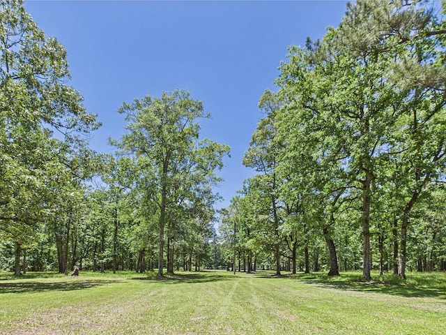 1905 Mill Creek Rd, Huntington, TX 75949 - photo 18