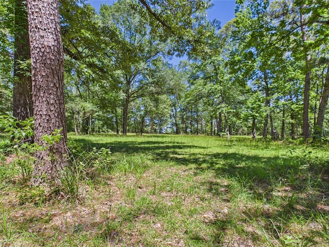 1905 Mill Creek Rd, Huntington, TX 75949 - photo 26