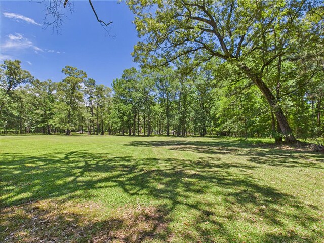 1905 Mill Creek Rd, Huntington, TX 75949 - photo 23