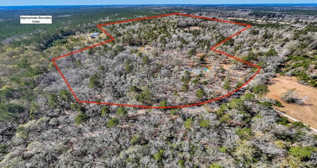 1905 Mill Creek Rd, Huntington, TX 75949 - photo 99