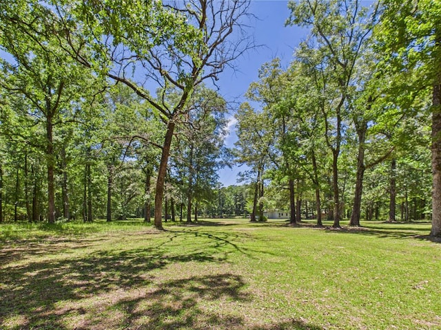 1905 Mill Creek Rd, Huntington, TX 75949 - photo 19