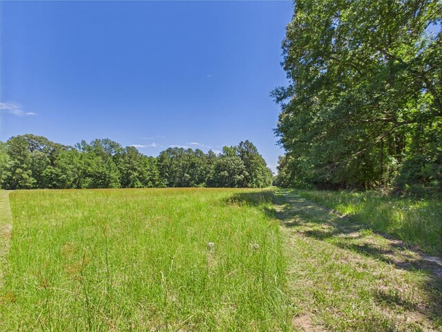 1905 Mill Creek Rd, Huntington, TX 75949 - photo 30
