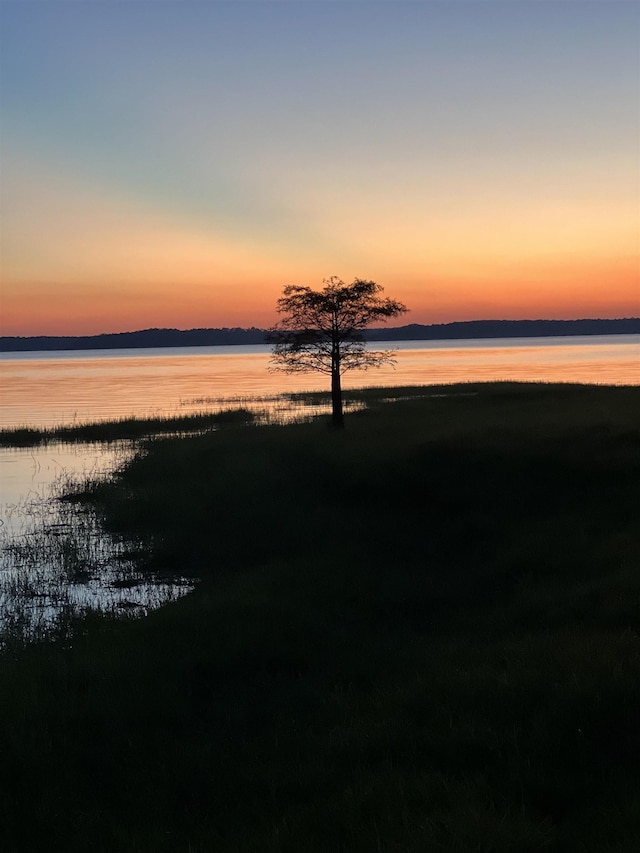 property view of water