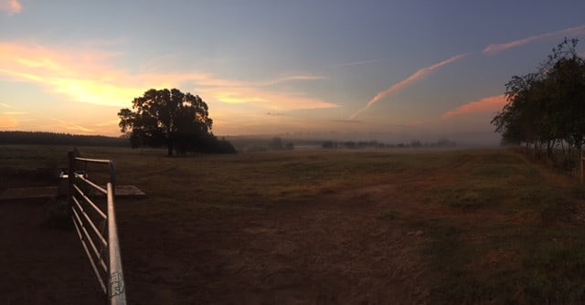 yard at dusk with a rural view