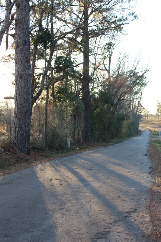 view of road