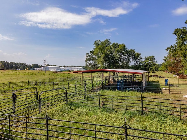 view of yard featuring a rural view