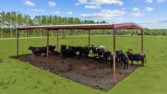 view of home's community featuring a rural view