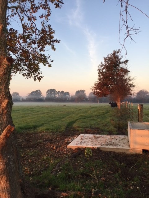 yard at dusk featuring a rural view