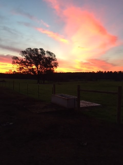 yard at dusk featuring a rural view