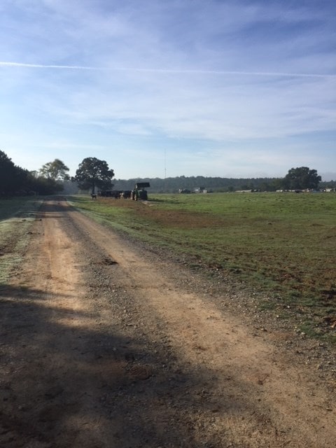 view of street featuring a rural view