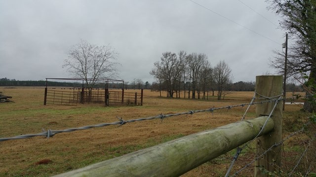 view of yard with a rural view