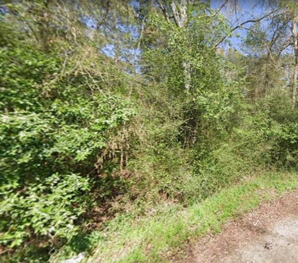175 Lakeview Ln, Shepherd, TX 77371
