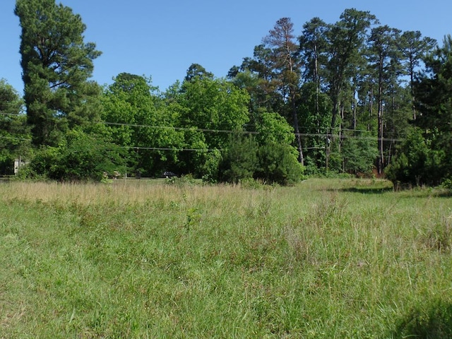 5185 Sh 21 E, Hemphill, TX 75948 - photo 1