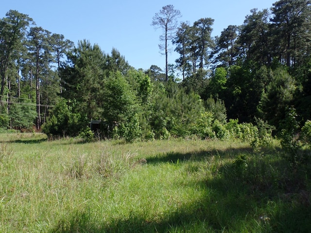 5185 Sh 21 E, Hemphill, TX 75948 - photo 2