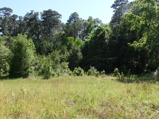5185 Sh 21 E, Hemphill, TX 75948 - photo 3