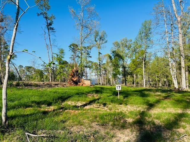 859 Nine Mile Rd, Milam, TX 75959 - photo 2